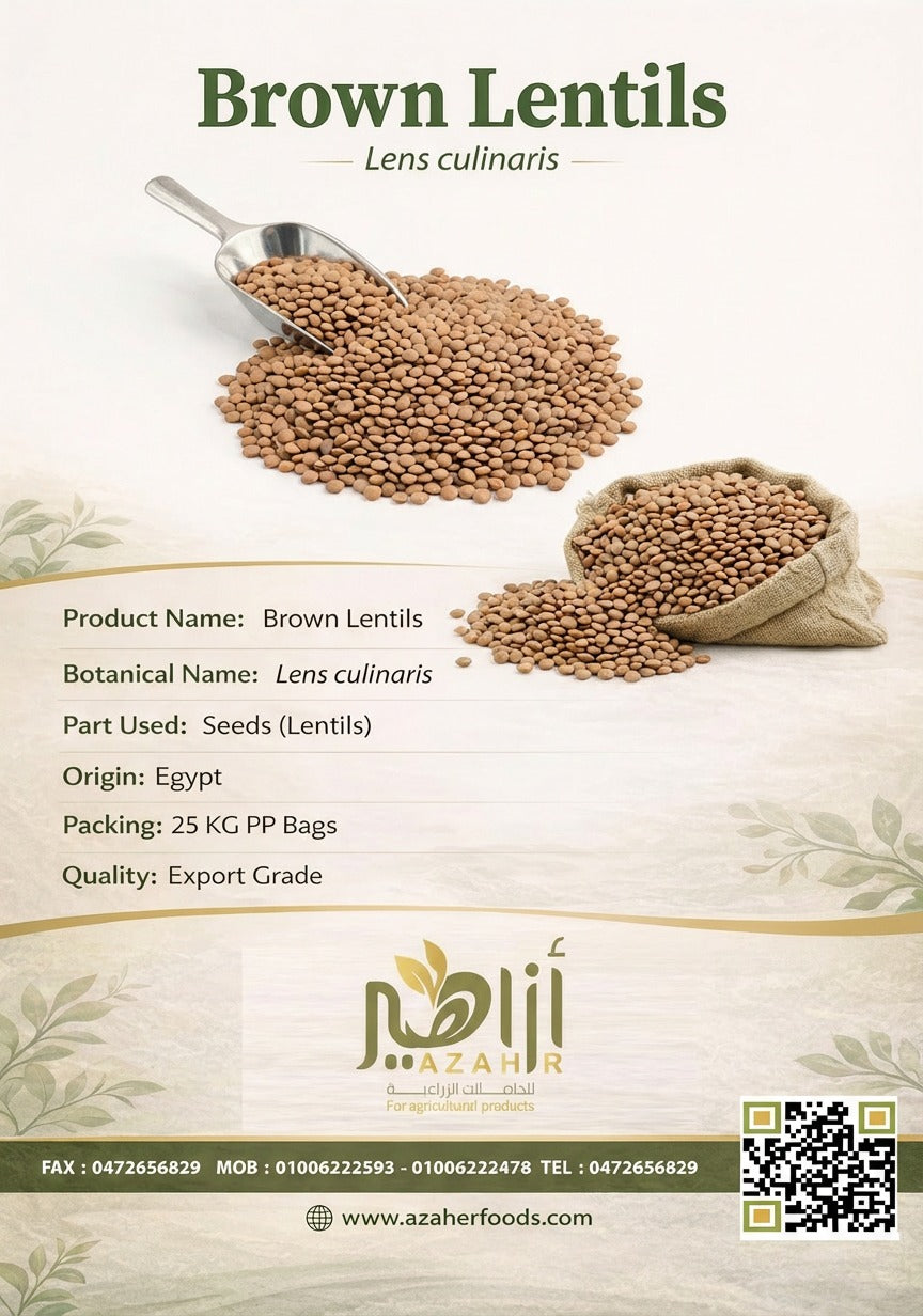 Brown Lentils