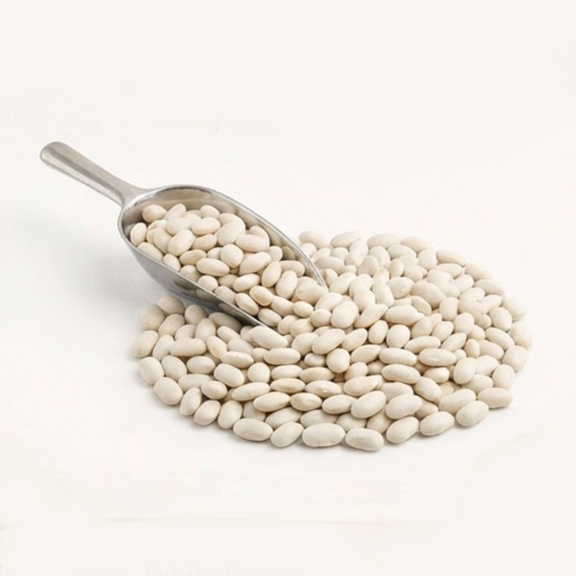 White Beans